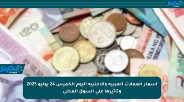 أسعار العملات العربية والأجنبية اليوم الخميس 24 يوليو 2025 وتأثيرها على السوق المحلي